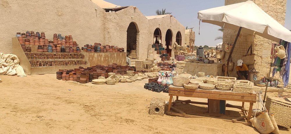 Valley of Whales and Wadi El Rayan Water Falls Day Tour