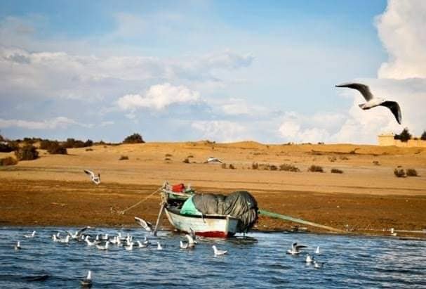 Fayoum camping – Magic lake