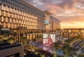 ELAF – Kawn Business Complex – صالة عرض – معرض سيارات