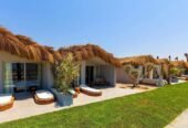LYV Ras El Hekma – North Coast