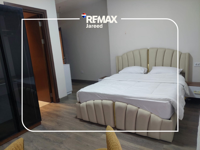 Luxury Fully Furnished Apartment in ZED Towers – Sheikh Zayed