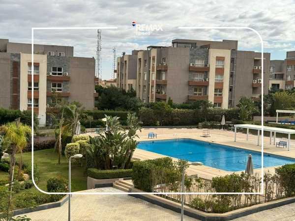 Zayed Regency compounds with pool view
