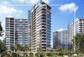 Zed West – Phase 2 – Sheikh Zayed