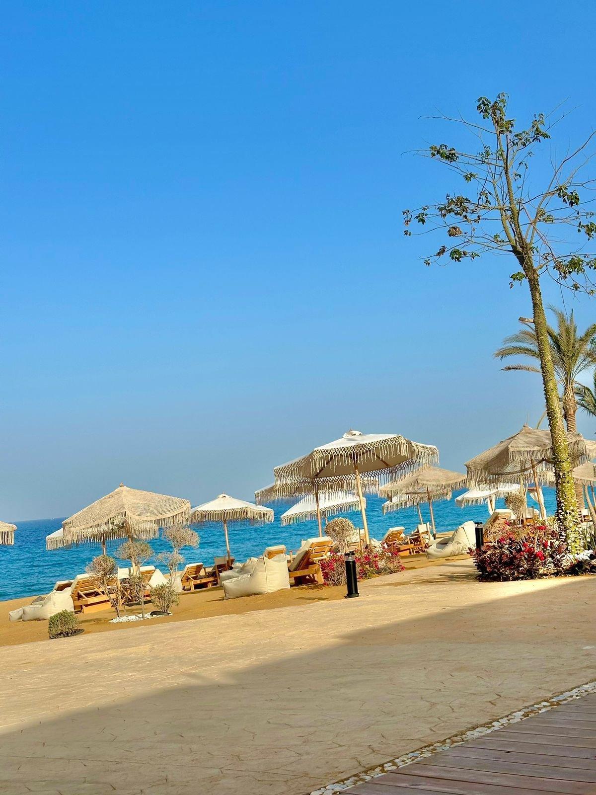 MAVEN – Baymount ElGalala