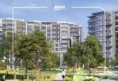 Zed West – Phase 2 – Sheikh Zayed
