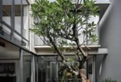 Centrada – Belong – Townhouses ONLY
