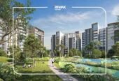 Zed West – Phase 2 – Sheikh Zayed